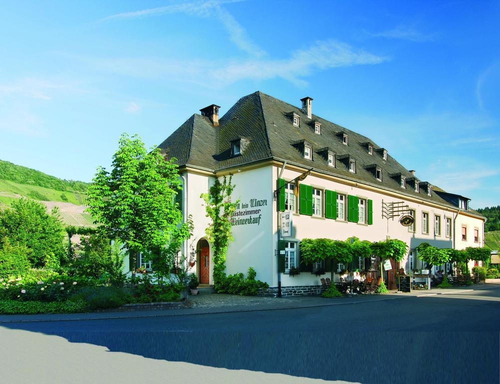 Seminarshof Hotel Trittenheim Ngoại thất bức ảnh